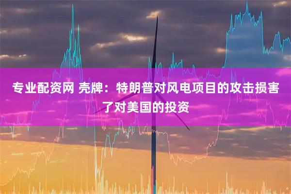 专业配资网 壳牌：特朗普对风电项目的攻击损害了对美国的投资