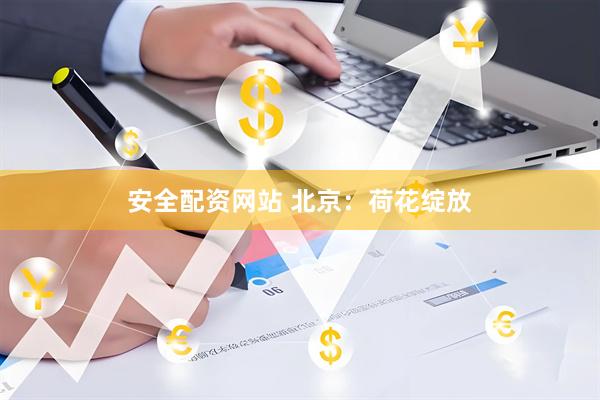 安全配资网站 北京：荷花绽放