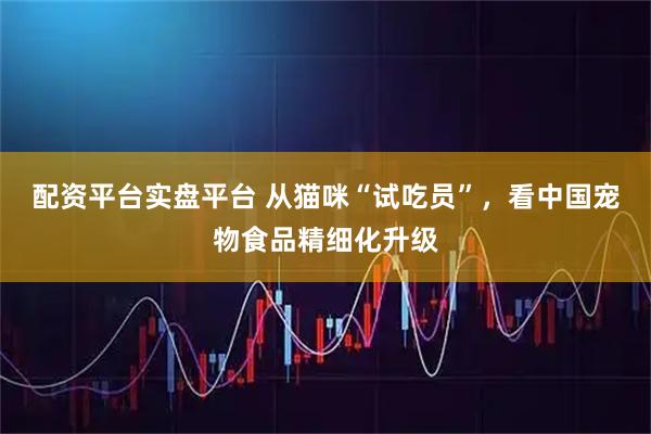 配资平台实盘平台 从猫咪“试吃员”，看中国宠物食品精细化升级